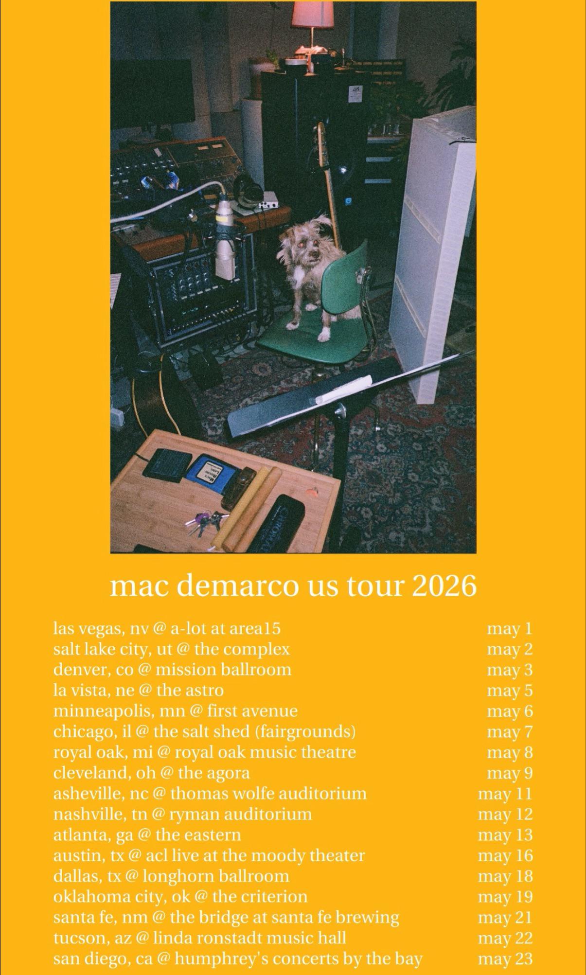 Mac DeMarco Guitar Tour Poster 2026
